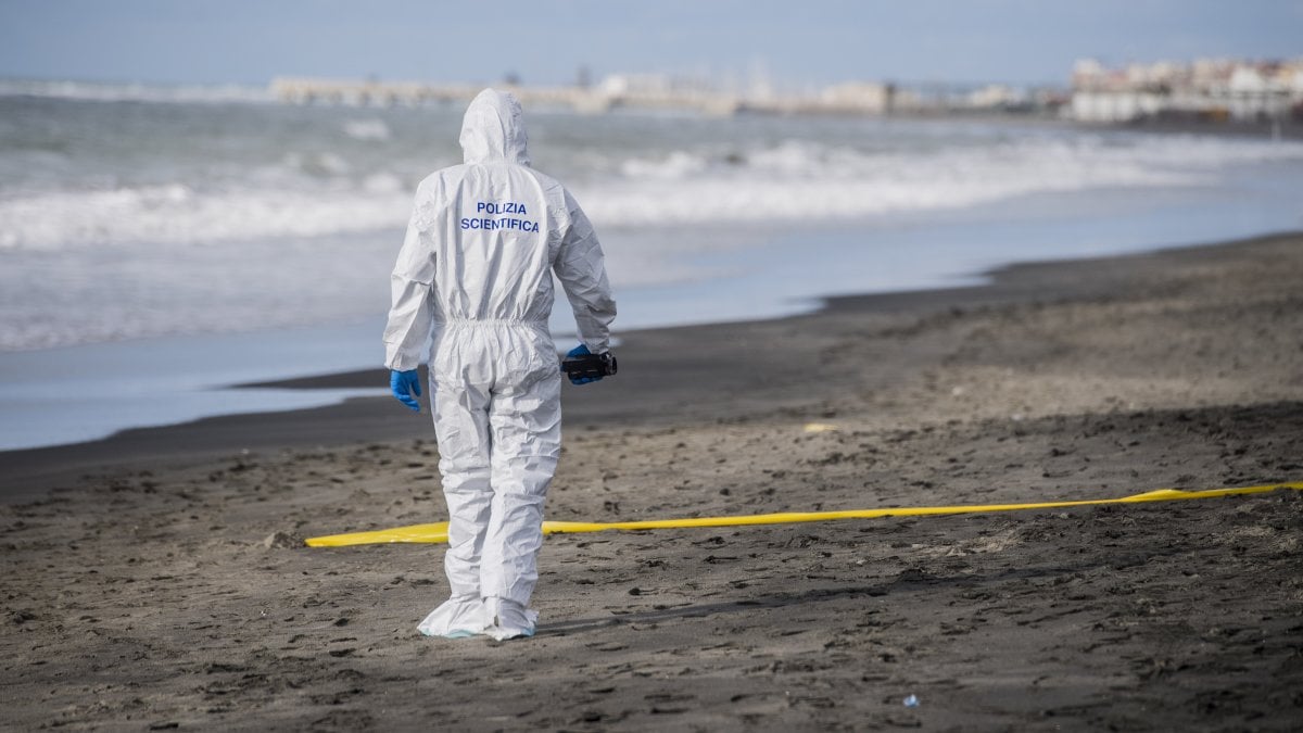 Piede Umano Trovato Su Spiaggia A San Rossore Www