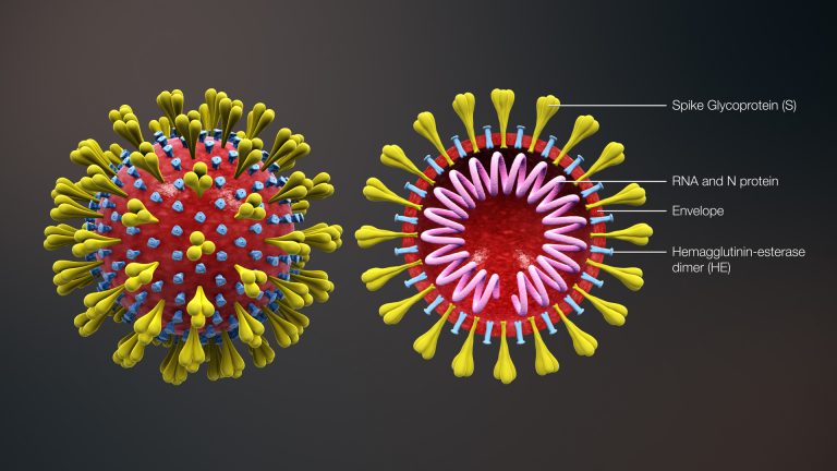 Epidemia coronavirus anticipato du Twitter