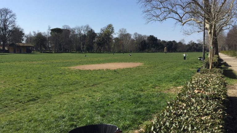 🎧 Parco delle Cascine, entro Giugno lo Statuto della Fondazione che lo gestirà