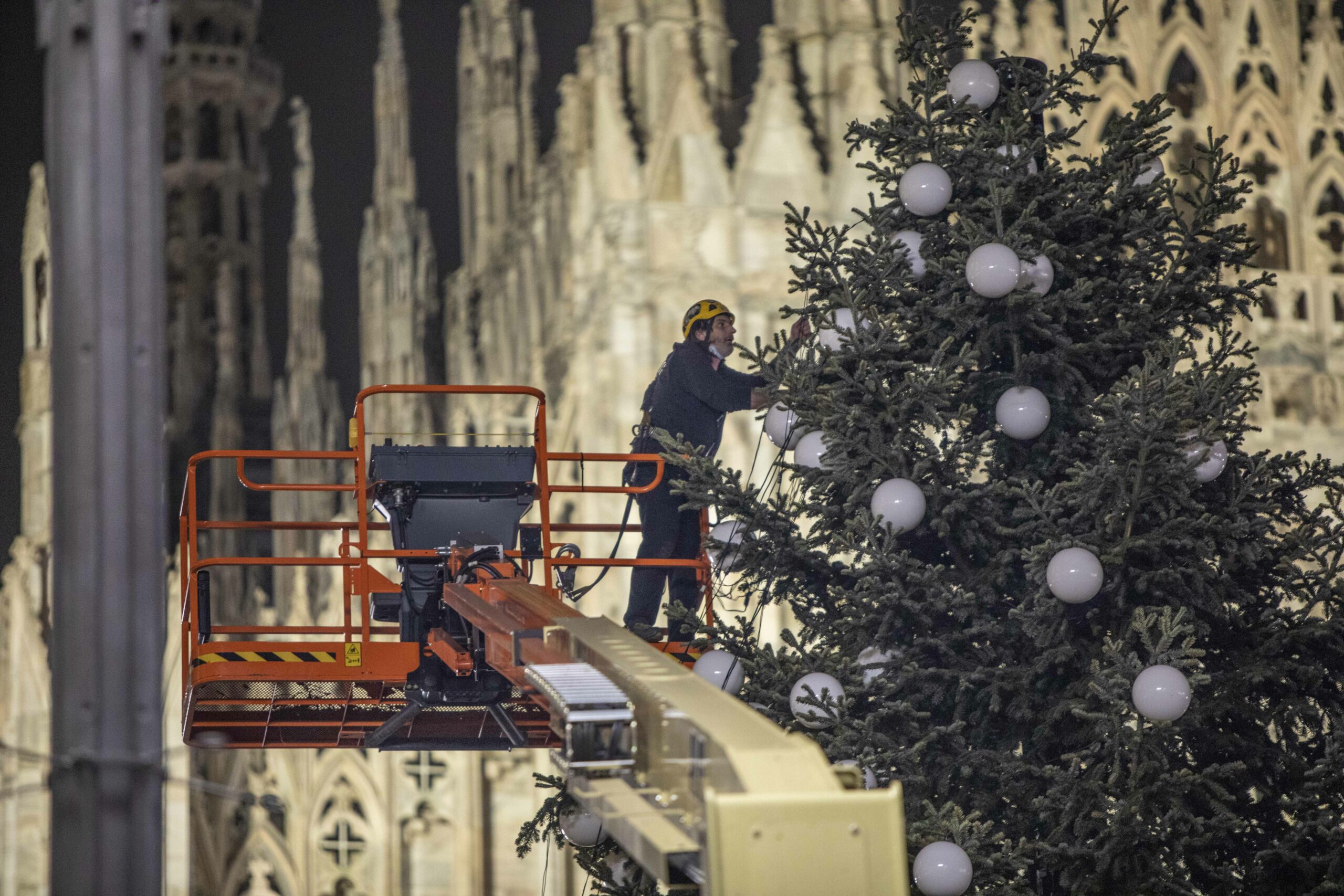 Se Volete Bene Alla Natura Comprate Un Albero Di Natale Vero Www Controradio It