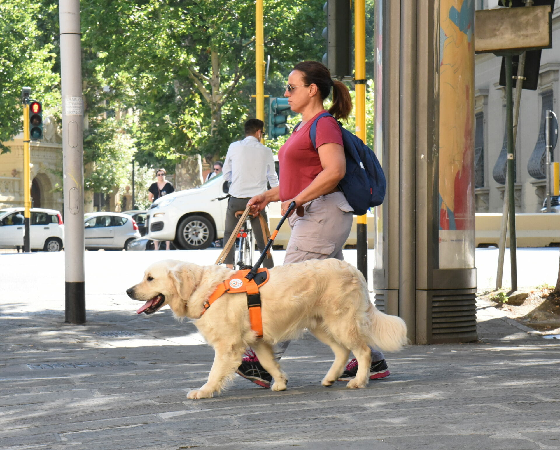 Scandicci scuola cani guida