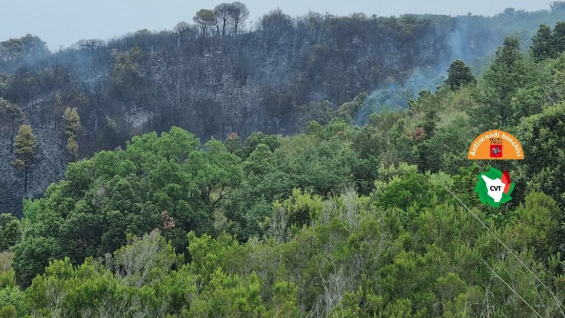 Incendio boschivo