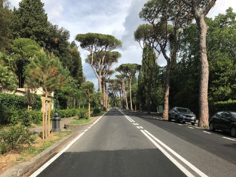 🎧 Verde urbano: per il Sole24Ore Firenze è la 63esimo posto