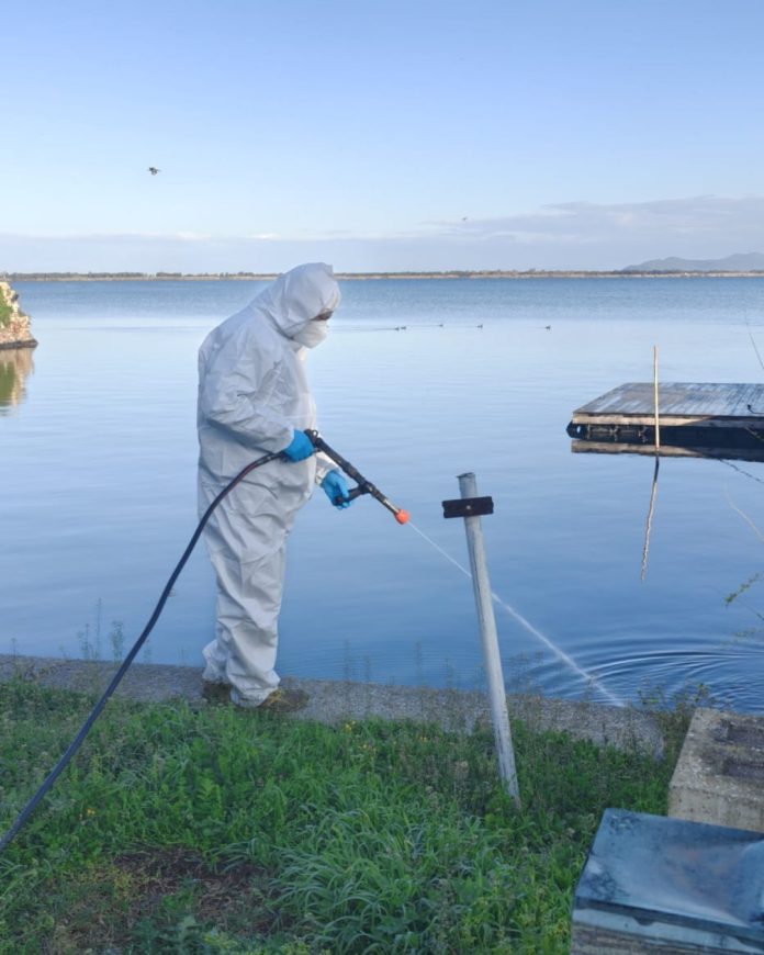 Moscerini, disinfestazione, Orbetello